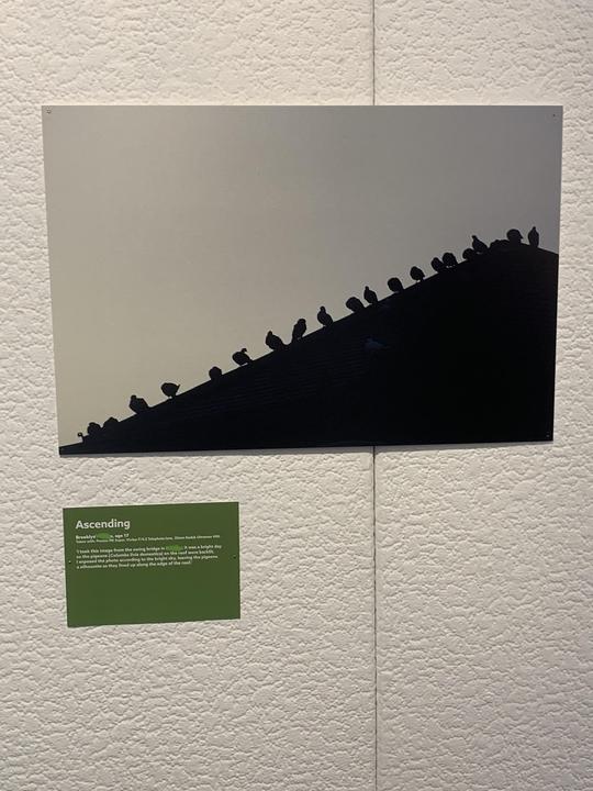 Got my first camera for Christmas and now my work is in a gallery!