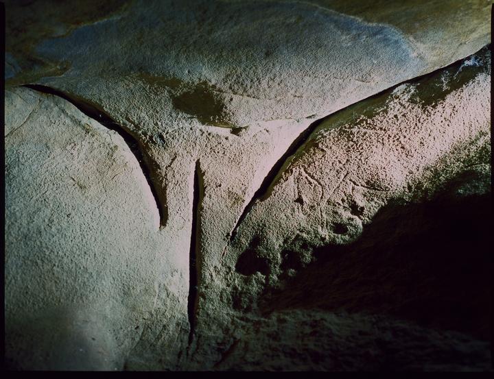 The Origin of the World | Bronica ETR-Si | Zenzanon 75mm | Fuji Provia 100F