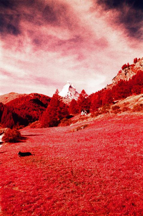 Kodak Aerochrome shot in Zermatt