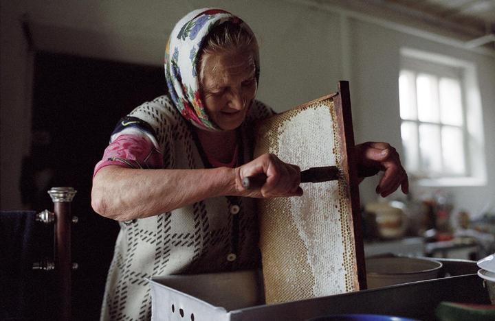 A fresh honey