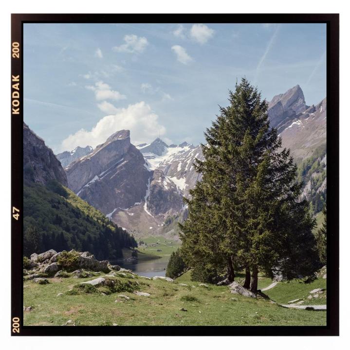 Alpstein, Switzerland | Hasselblad 500C/M, Kodak Gold 200