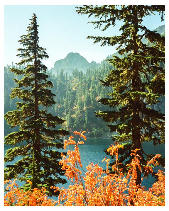 the cascade mountains | canonet giii ql17 | portra 800