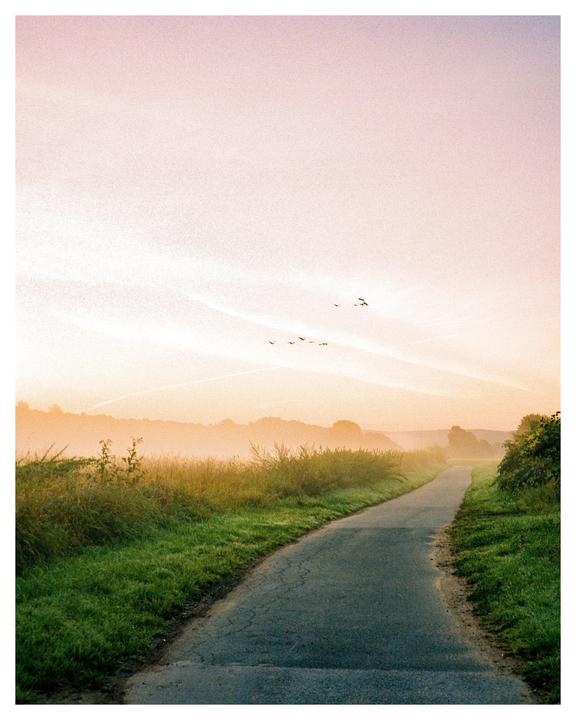 Fuji gs645s - Portra 800