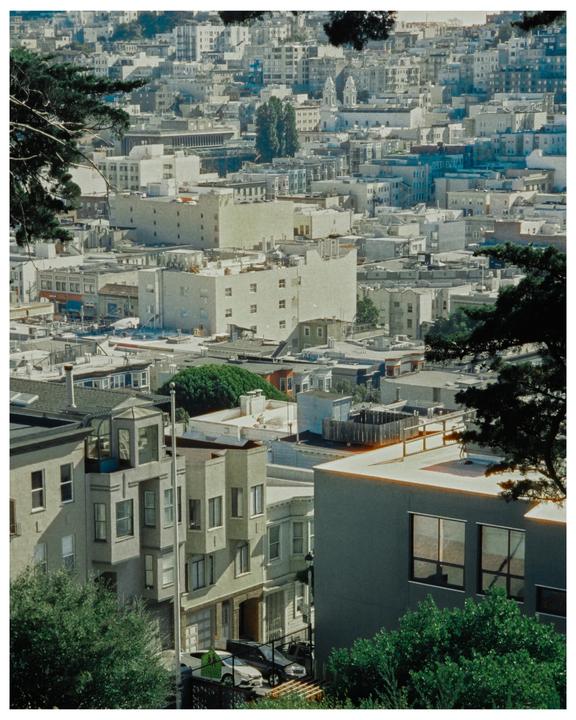San Francisco [Canon Sure Shot Telemax, Cinestill 800T]