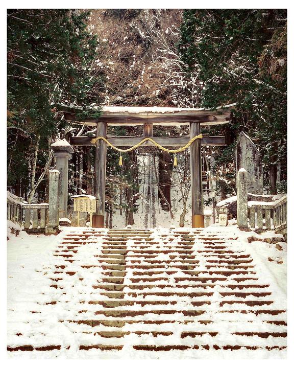 A snow-covered stone staircase leads up to a wooden torii gate in a forest.
