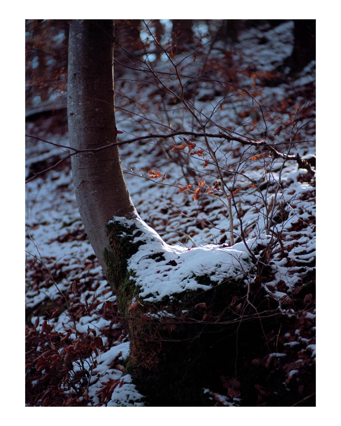 image 36134 by MarvinKesselflicker