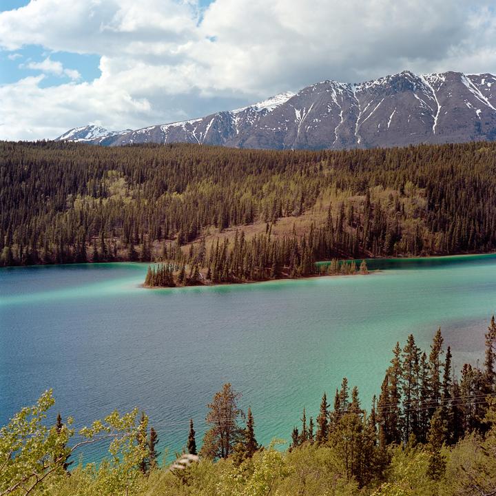 Took my Rolleiflex to Alaska - Rolleiflex 2.8F - 80mm f2.8 - Portra 160