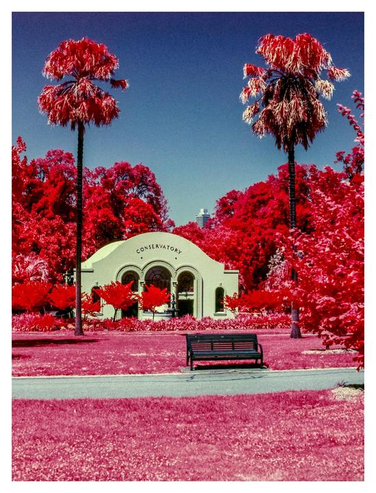 First Time Shooting Aerochrome [Mamiya 645 Super, Sekor ULD 105-210 f4.5, Aerochrome 400, Yellow Filter + CLD]