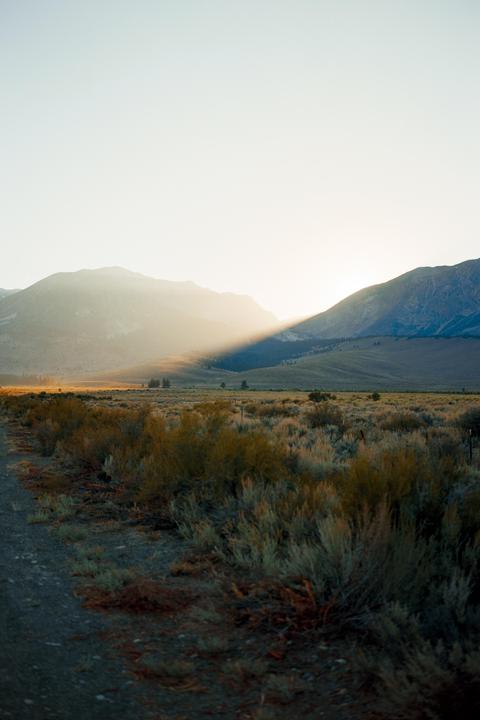 The last glimpse of sun | Fuji gw690 | Ektar 100