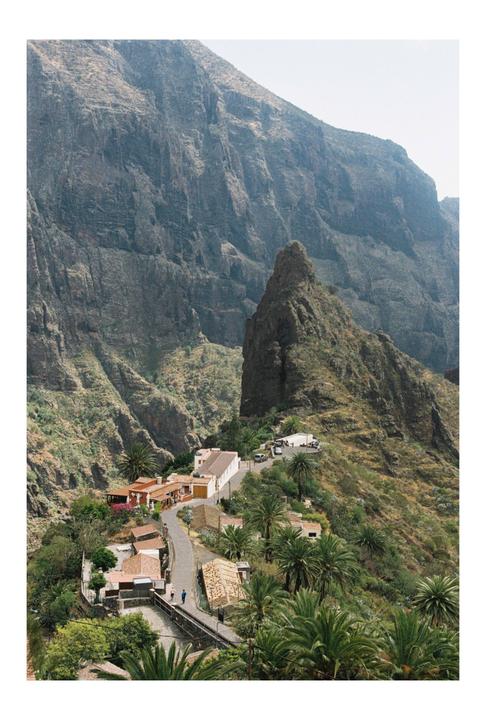 Tenerife / Olympus OM-10 / 50mm / Colorplus 200