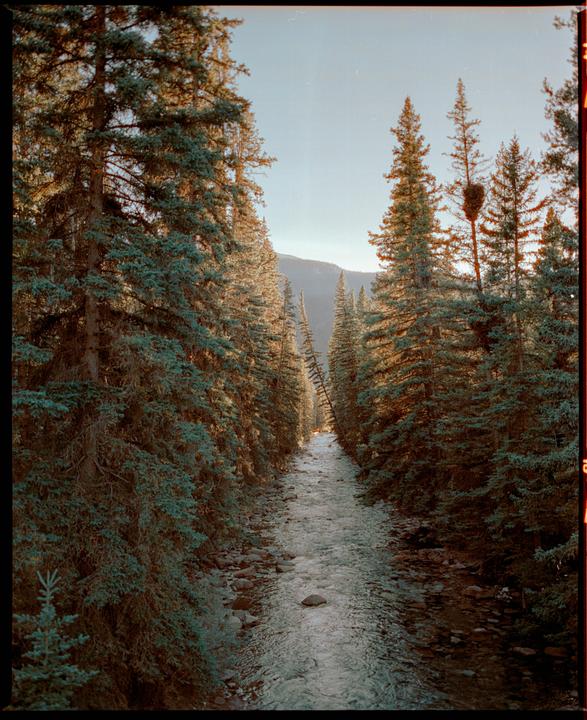 Banff by Bronica GS-1, PG 65mm, Cinestill 800T