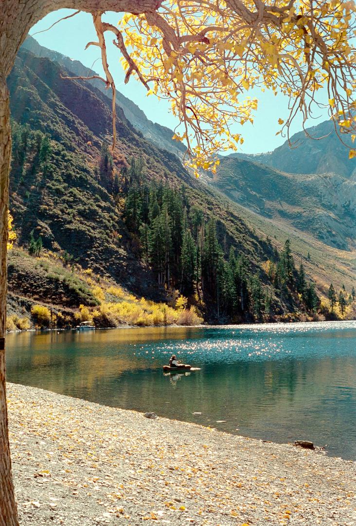 image 35943 by lreimu