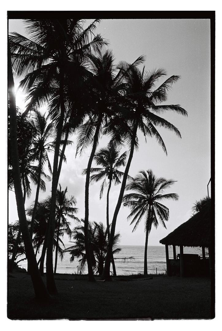 image 36050 by oneofthedreamers04