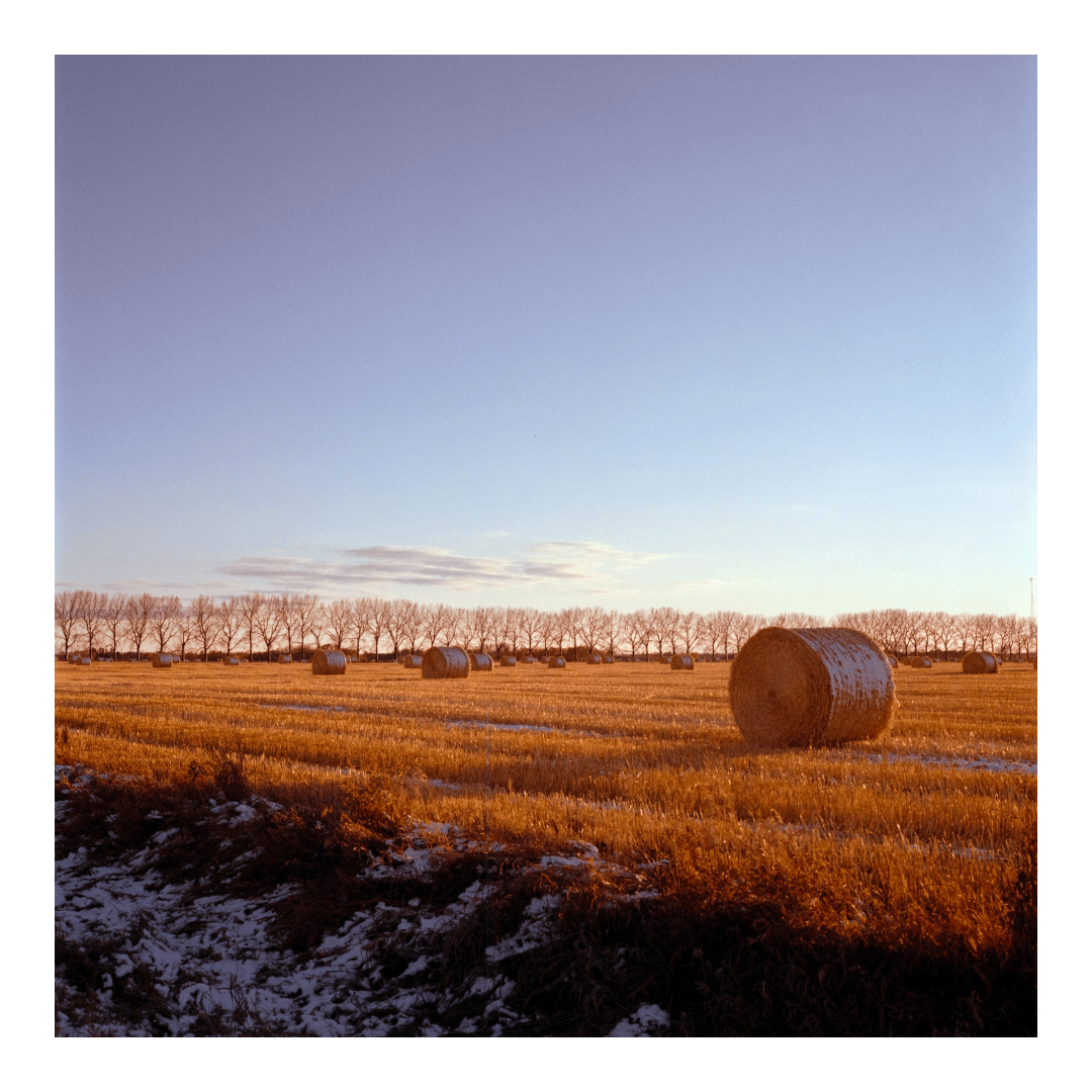 image 35779 by analogcatalog1206