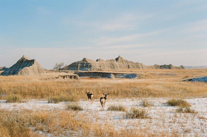 Winter in South Dakota [Canon A1, Fuji400]
