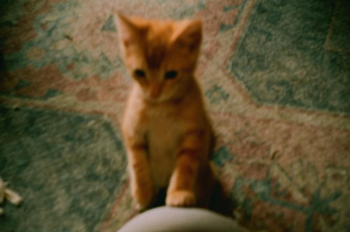 What’s the worst test picture you’ve ever taken? [Argus C3 matchmatic, unknown lens, Kodak Gold 200]