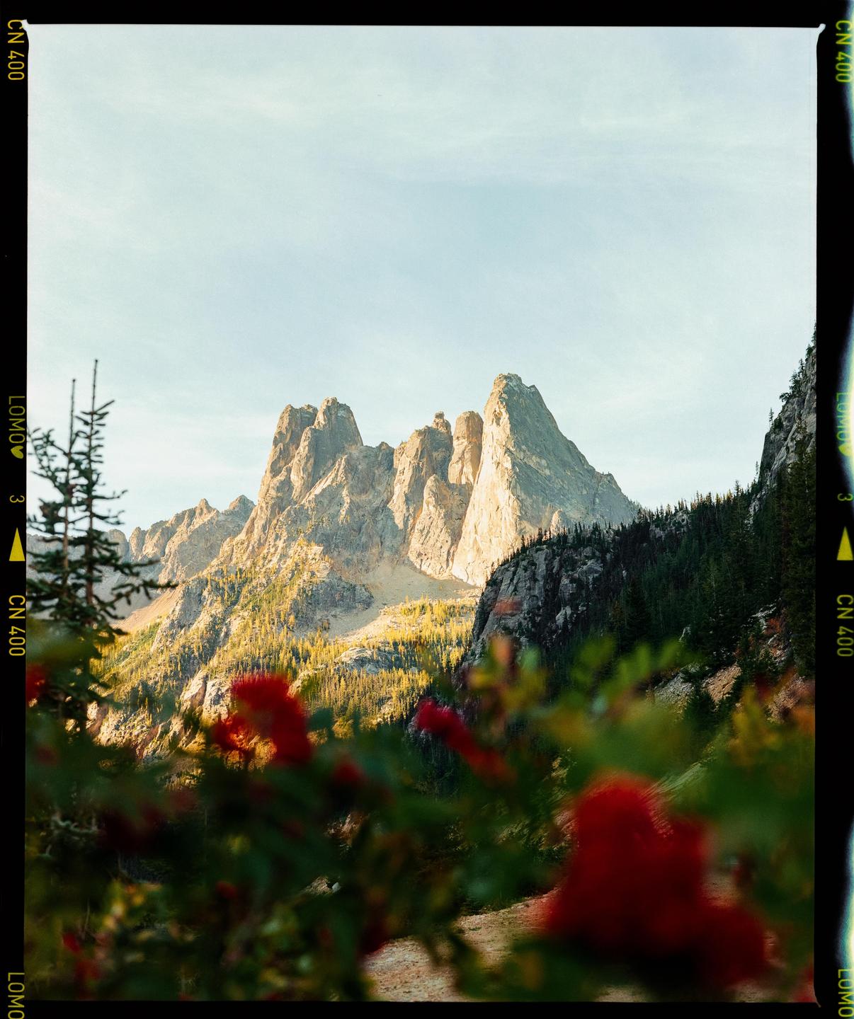 image 35936 by douglasrhall_