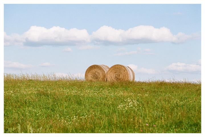 Hay bales and fluffy clouds; summer will be here soon. Which composition do you like more? [Nikon F100, Portra 400]