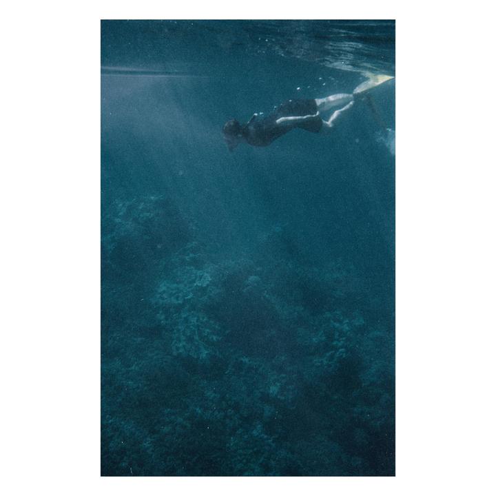 Great Barrier Reef [Nikonos III, Nikkor 35mm f2.5, Vision 3 250D]