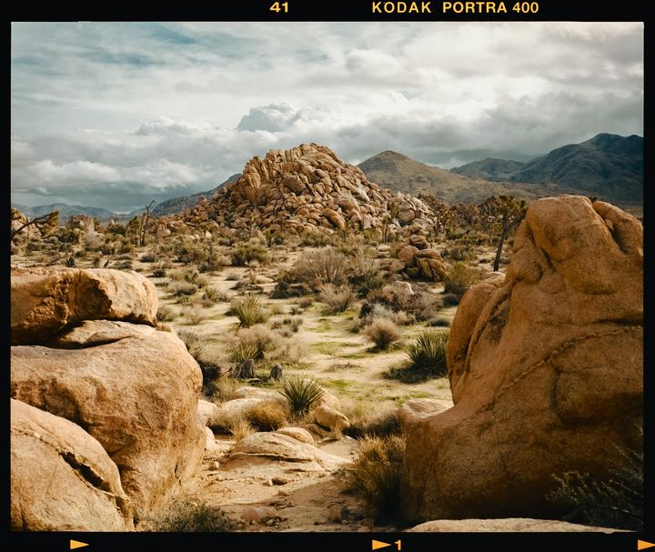 Joshua Tree National Park · Mamiya 7 80MM · Kodak Portra 400