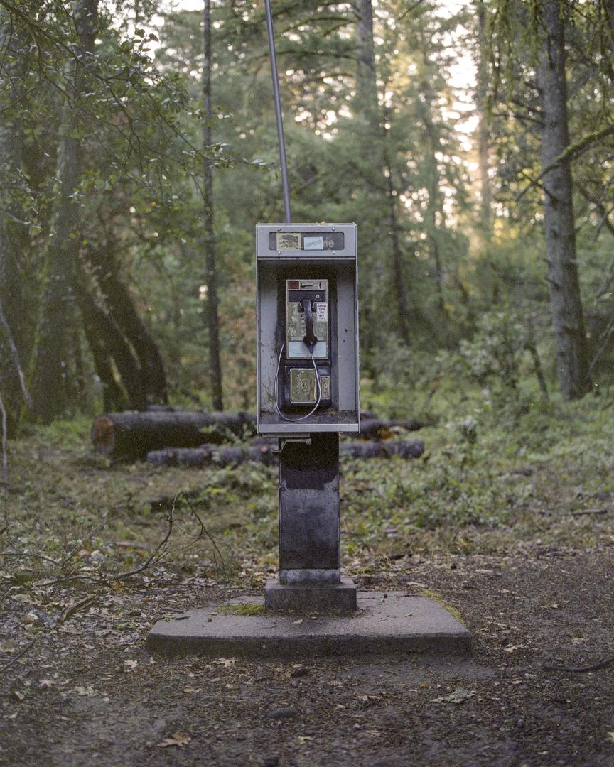 Santa Cruz Mountains | Mamiya RB67, 90mm f/3.8, Fuji Pro400H