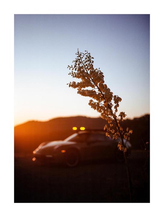 Safari sunset [645n - gold 200]