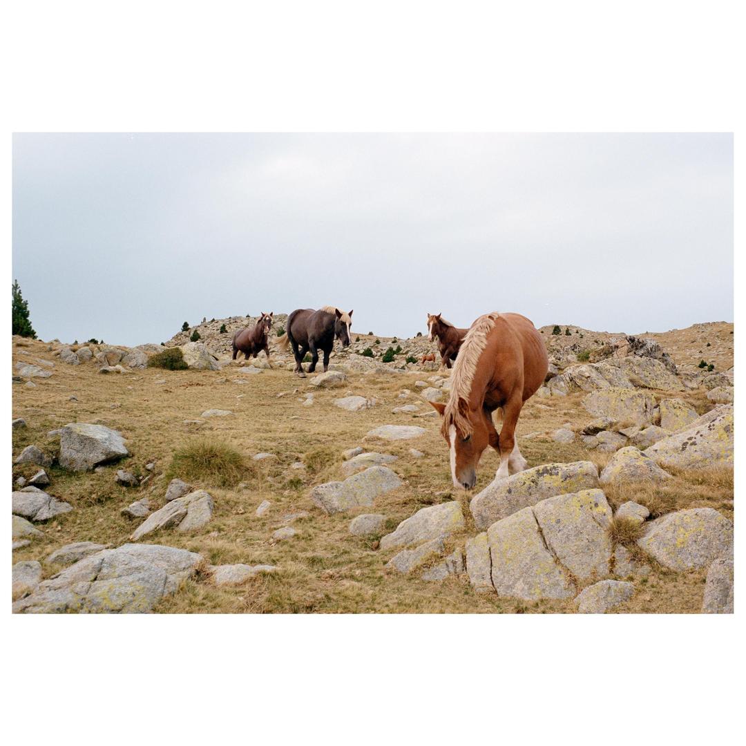 image 35872 by fizzplop