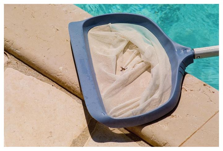 Scorpions by/in the pool [Nikon F100, Portra 400]