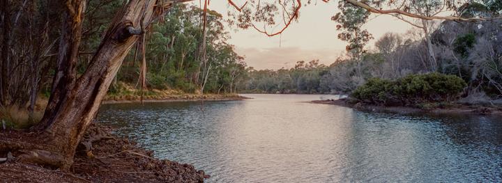 A body of water is surrounded by trees and foliage under a pale sky.