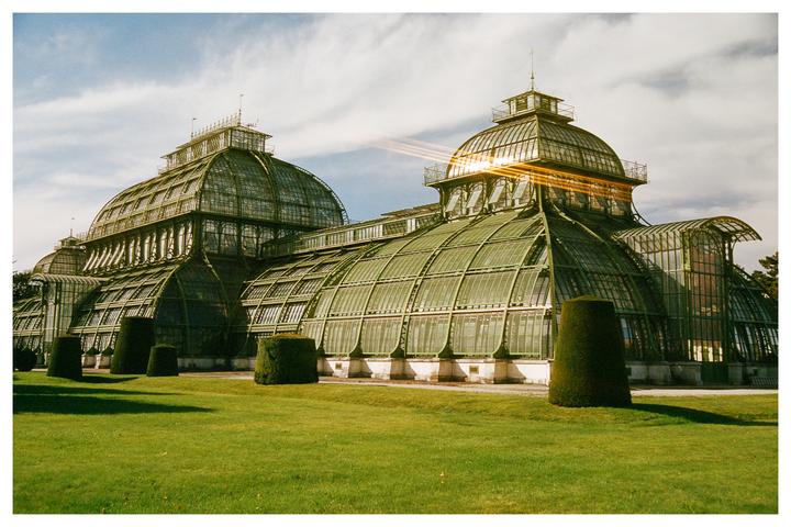 Art Nouveau Greenhouse [Nikon F100, Portra 400]