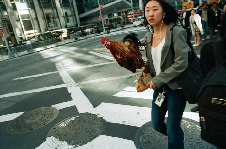 Animals of New York [leica m6, 28mm, portra 400]