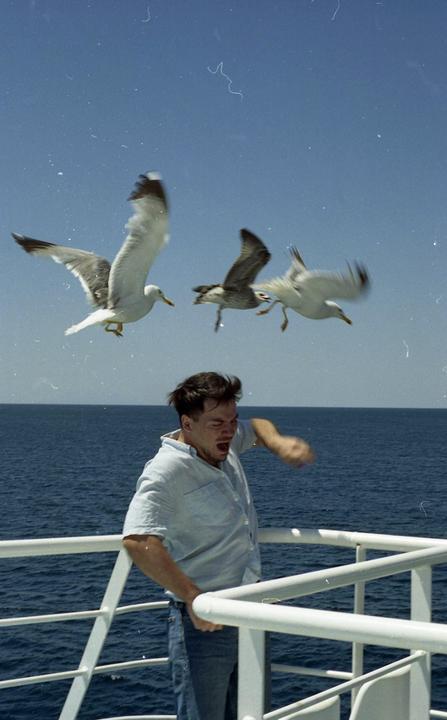 Feeding Seagulls / Minolta X-700 / Portra 400