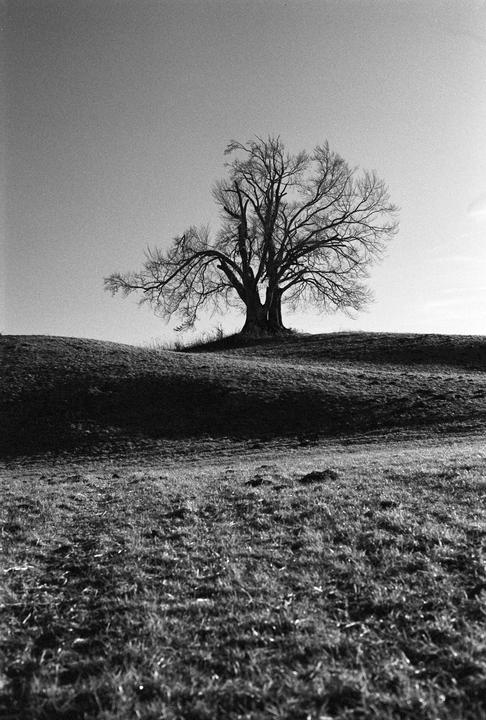Olympus OM2 - Adox CHS 100 ll