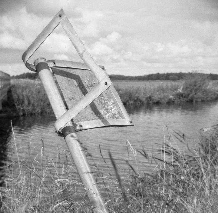 Warped ( Kentmere 100 )