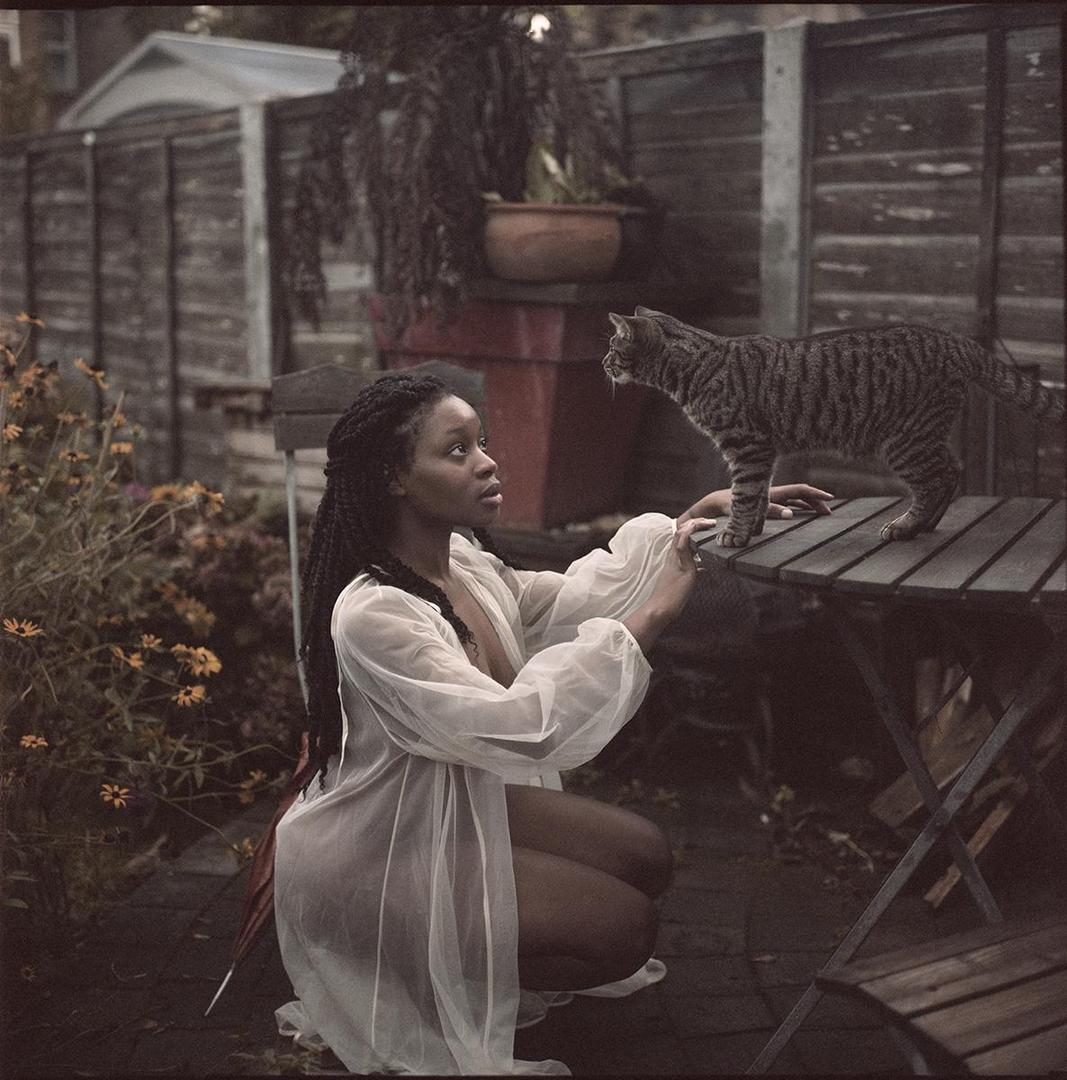 image 36187 by shemidah