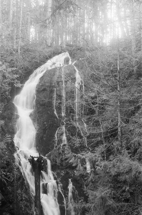 Which do you prefer? | Pentax ME Super | Delta 400 Pro | uncertain lens