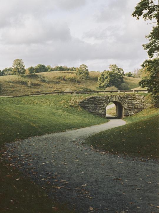 A few days on the Parkway - Canon A-1, Portra 400 + Ektar 100