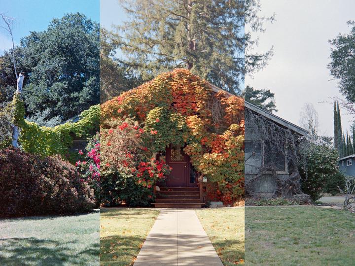 Same house through the seasons [Mamiya 645 AFD, 80mm f2.8, Kodak portra 400 VC, Vision3 250D, Portra 400NC]