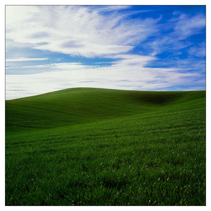 Bliss-ish [Hasselblad 500C/M | Velvia 50 | 50, 80, 150, 250mm]