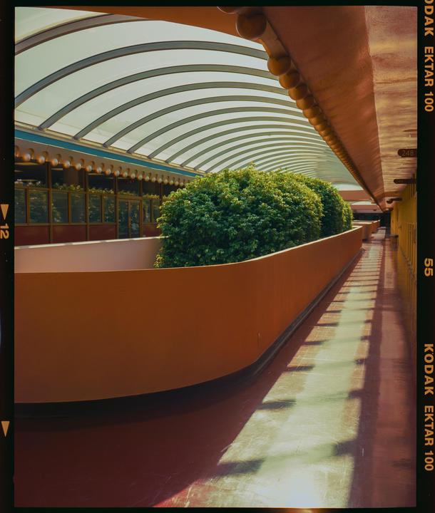 Frank Lloyd Wright Building · Mamiya 7ii 80MM · Kodak Ektar 100