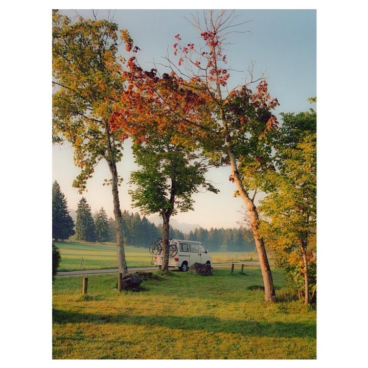 Summer Mornings | Leica MP + Elmarit 28 | Portra 400