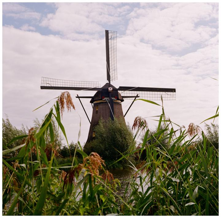 Netherlands Sep 2026 - [Mamiya C220 | 80mm f2.8 | Kodak Gold]