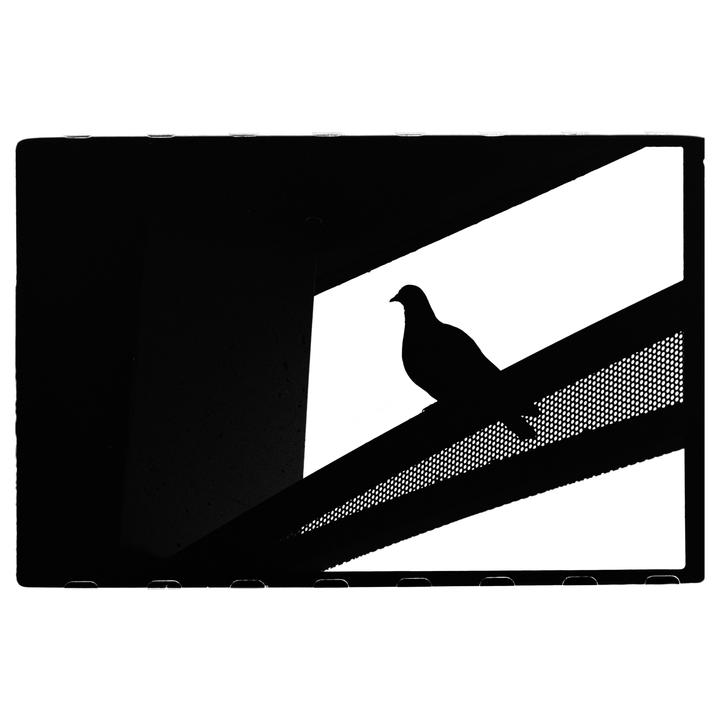 A pigeon is silhouetted against a bright background, perched on a perforated metal structure.