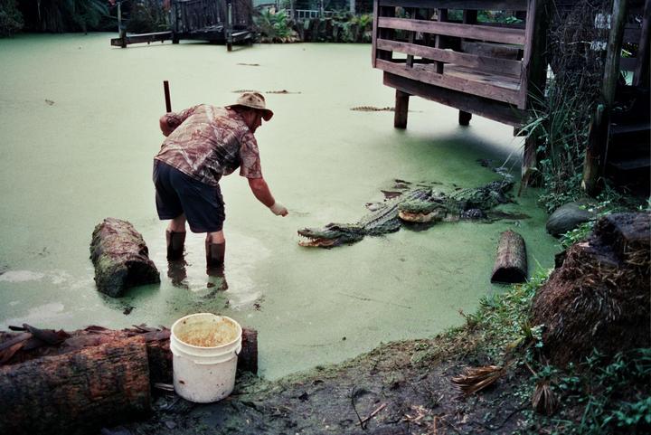Ode to a Florida Man | Pentax K1000 | Cinestill 800