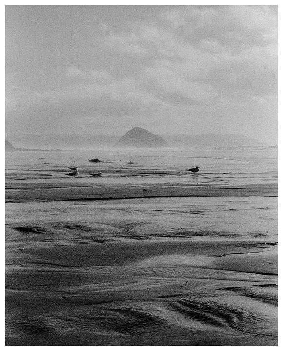 Three gulls stand on a sandy beach with a large rock formation in the distance under a cloudy sky.