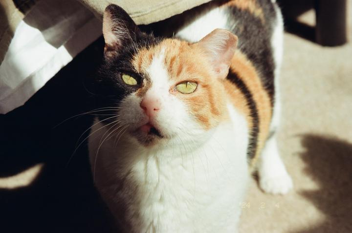 The last pictures my wife took before she passed away (Canon Sureshot 115u; ColorPlus 200)