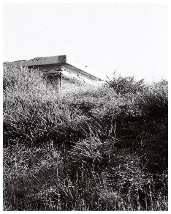 An abandoned bunker is partially obscured by overgrown vegetation.