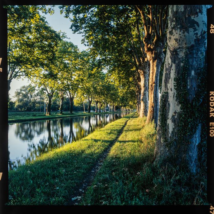 River | Bronica SQ-B | Kodak Ektachrome