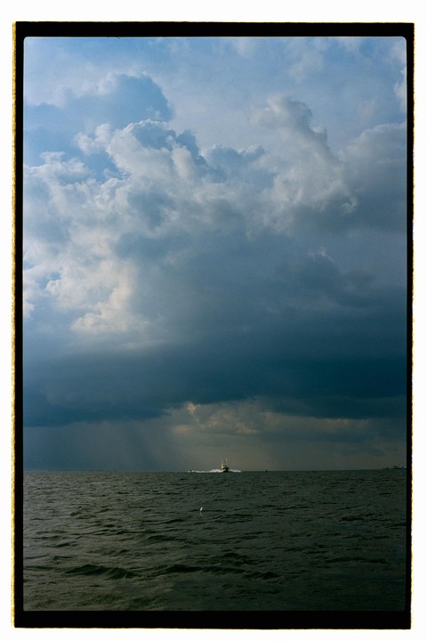 Some of my favorites from a recent beach trip [Canon F-1/various films]