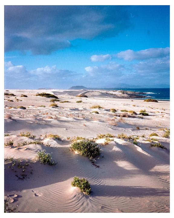 The Dunes of Corralejo [Kodak Portra 400 - Fuji GS645s]